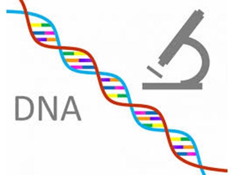 Escritório de Advocacia para Ação de DNA em Alphaville